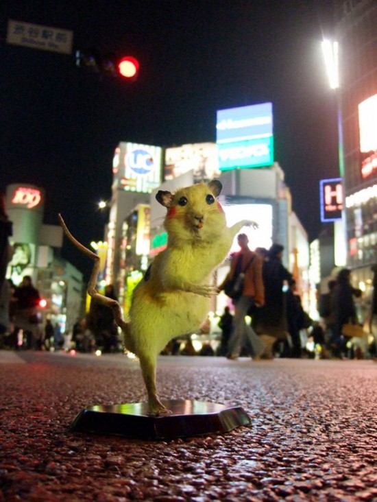 Pikachu rat by Chimpom