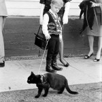 Black cat auditions, 1961