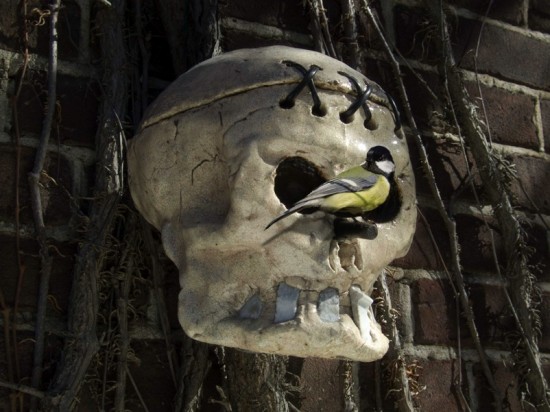Rebirdy (Birdhouse in Your Skull) by Stefan Gross