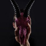 Bling Bling, It’s Bedazzled Taxidermy