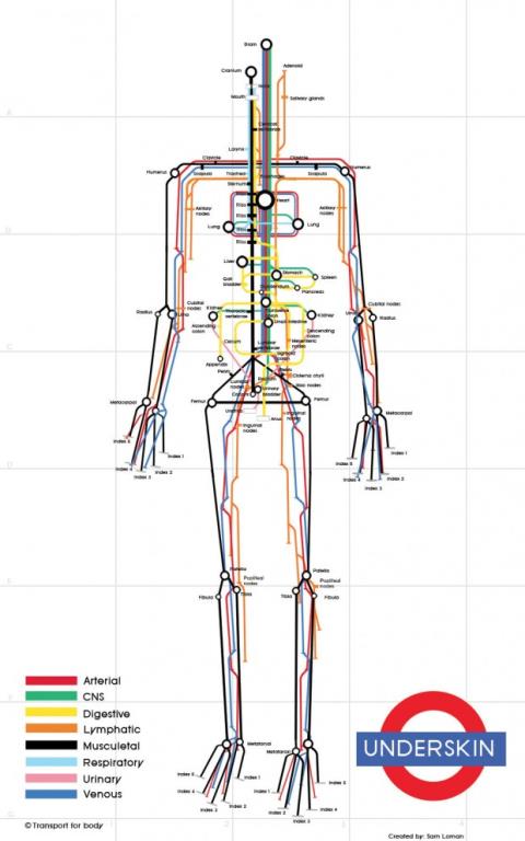 Human Body Subway Infographic Map by Sam Loman