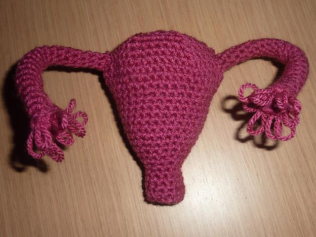crotchet-uterus.jpg