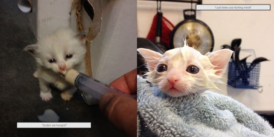 Double feature of CUTE OVERLOAD by @skinner