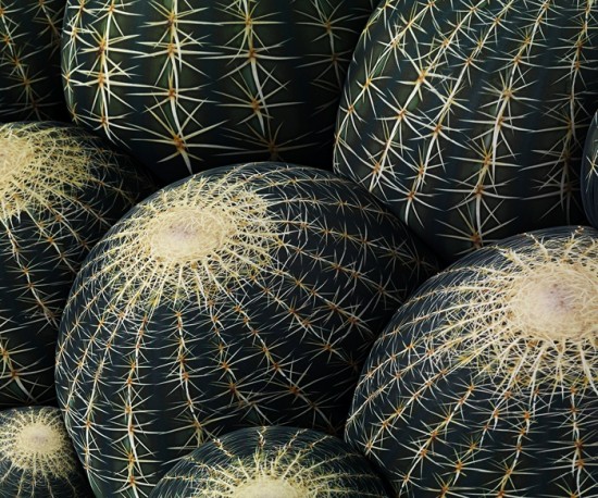 Cactus Sofa by Maurizio Galante for Cerruti Baleri