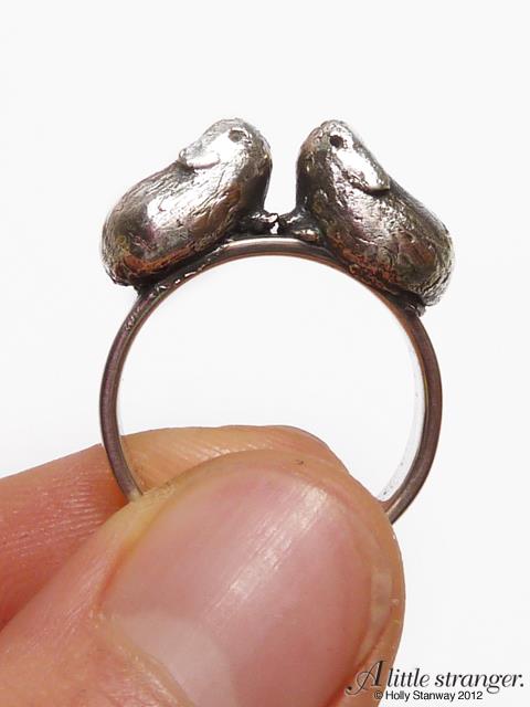 Kissing Guinea Pig Rings by Holly Stanway