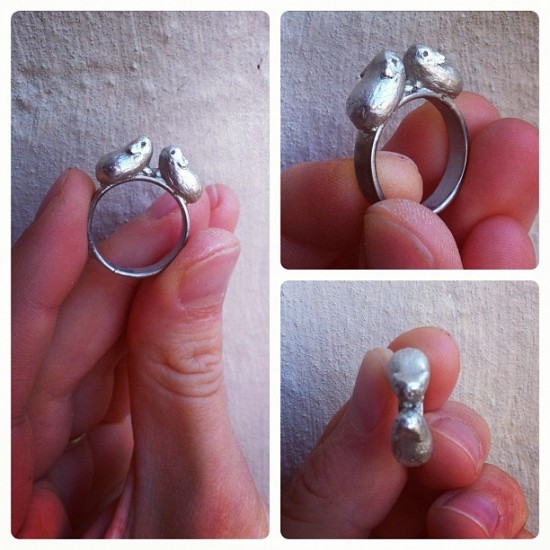 Kissing Guinea Pig Rings by Holly Stanway