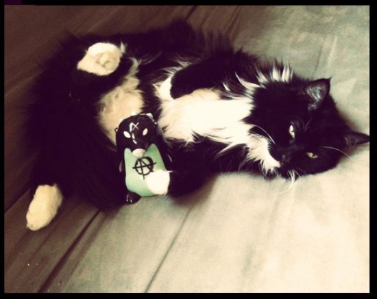 Bailey 2000-2012