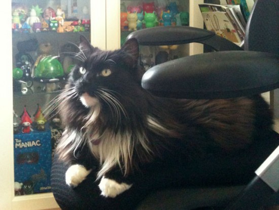 Bailey 2000-2012