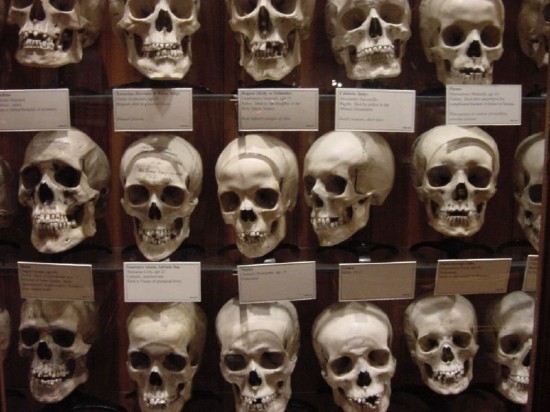 Mütter Museum Save-a-Skull