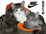 Frank Kozik x Nike SB Dunks
