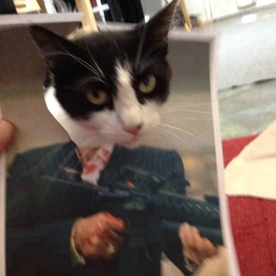 "Say hello to my little friend" says Skinner aka @tacobelljimhenson's cat.