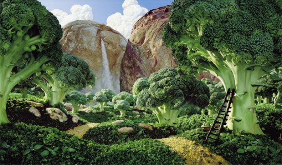 Broccoli Forest © Carl Warner