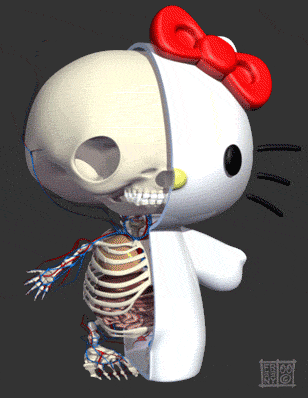 Dissected Hello Kitty by Jason Freeny