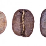 Phases of Coffee Roasting by William Le Goullon