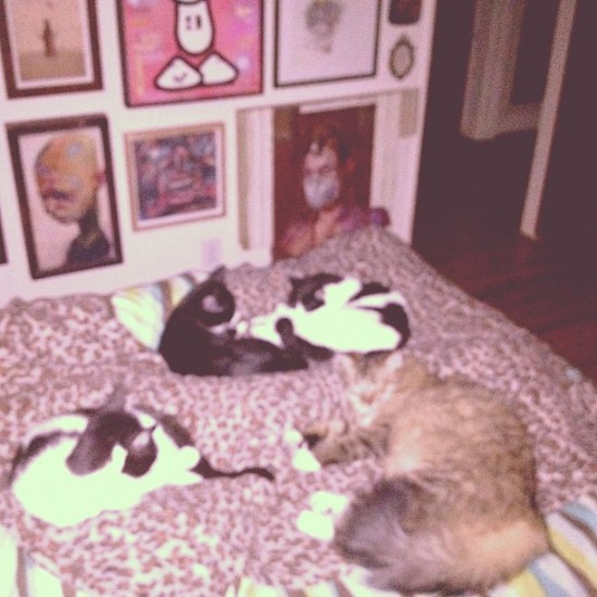 Cats and art: take 3: Four happy artsy cats who live with @thinkspace_art.