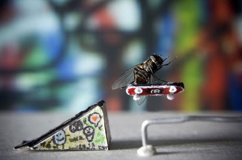Skater Fly by Nicholas Hendrickx