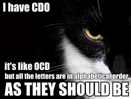 Cat OCD
