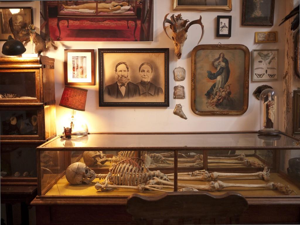 Morbid Anatomy Library